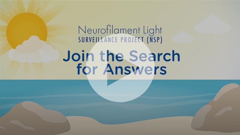 What is the NSP? video image